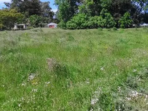 Venta Campo 172 Has  Partido de Ayacucho.  a 3 km de ruta 74