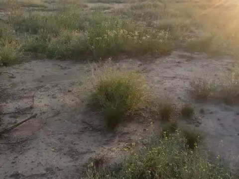 Terreno en Venta de 2000,0 m2
