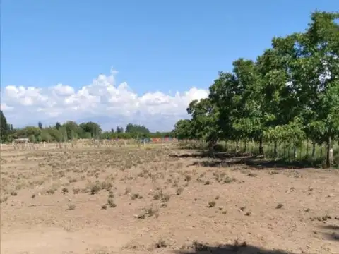 Lotes para tu cabaña de fin de Semana en Tupungato
