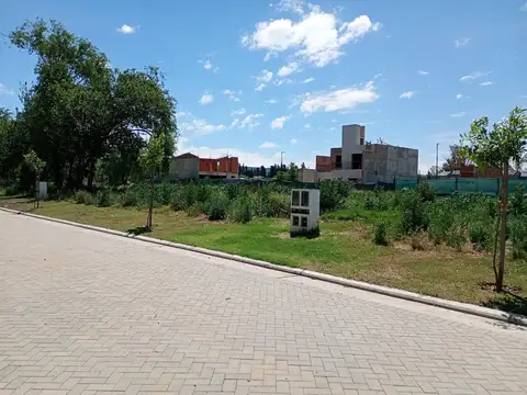 Nuevo Malagueño 200