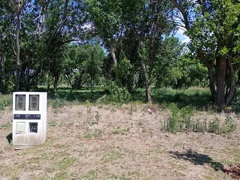 Terreno en Venta de 250,0 m2