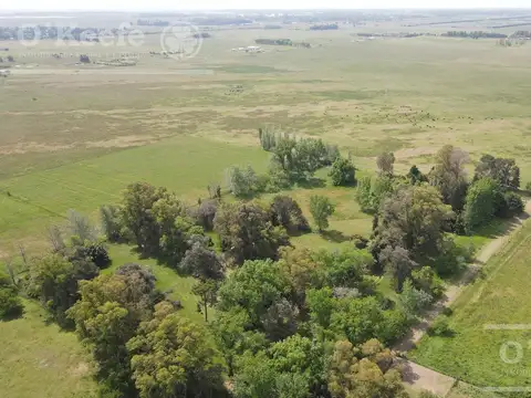 CAMPO 126 HAS CERCA DE RUTA 215 - PRODUCTIVO Y DISFRUTE - LA PLATA