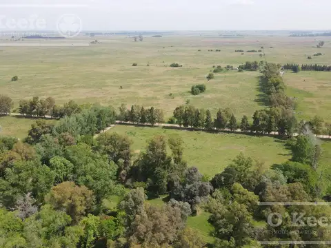 CAMPO 126 HAS CERCA DE RUTA 215 - PRODUCTIVO Y DISFRUTE - LA PLATA