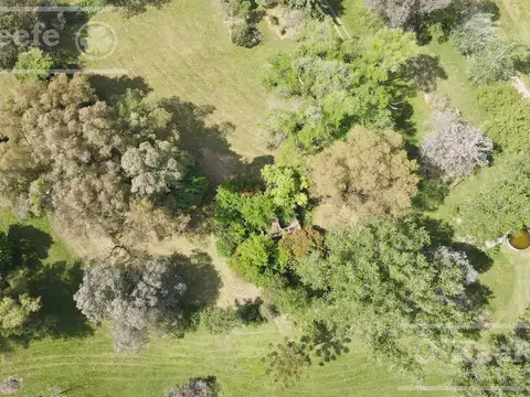 CAMPO 126 HAS CERCA DE RUTA 215 - PRODUCTIVO Y DISFRUTE - LA PLATA