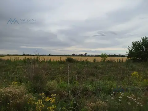 Campo 2 Has. con Galpón, Silos y Oficina en Ruta 32 y Bv. Acevedo, Pergamino, Bs. As.