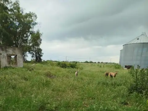 Campo 2 Has. con Galpón, Silos y Oficina en Ruta 32 y Bv. Acevedo, Pergamino, Bs. As.