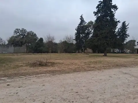 Gualeguay
