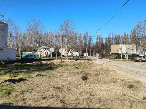 Terreno en Venta en Plottier, Confluencia
