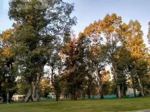 Terreno en Venta de 580,0 m2