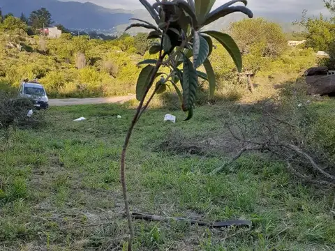 Terreno en Venta de 1004,0 m2