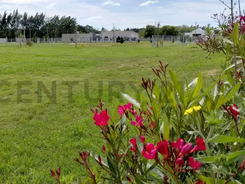 143 y 620 Lotes en venta Arana