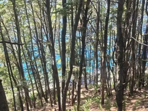 VENTA 3 CABAÑAS EN LAGO MOQUEHUE. NEUQUEN