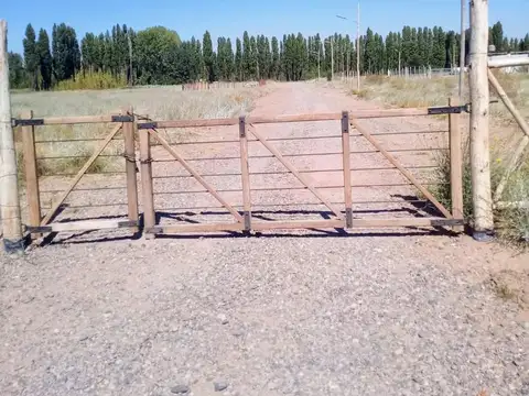 Terreno en Venta 12  mts Frente