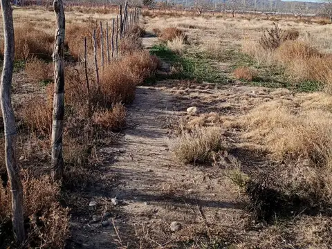 Terreno en Venta en San Jose de Tupungato, Tupungato
