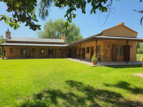 CAMPO DE POLO EN SAN MIGUEL DEL MONTE