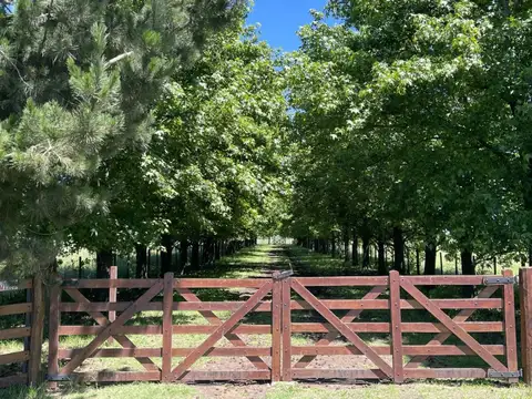 RUTA 3 KM 40