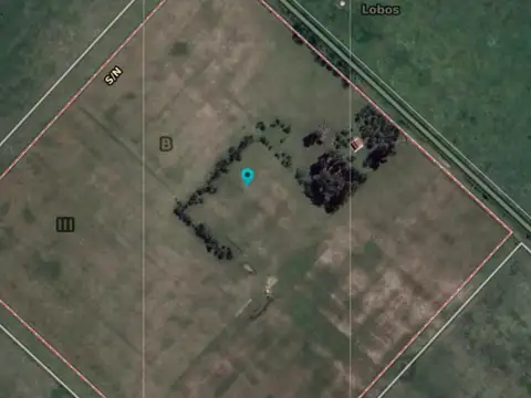 Campo en venta - 240.000Mts2 - Lobos