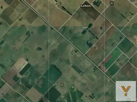 Campo en venta - 240.000Mts2 - Lobos