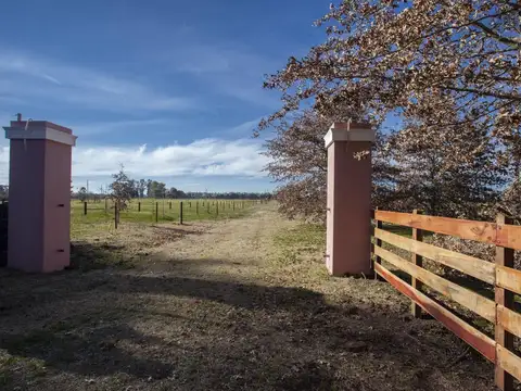 Chacra 1 Ha. - Las Juntas - San Antonio de Areco