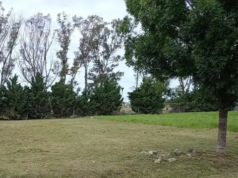 VENTA TERRENO ZONA NORTE, PALMARES 3
