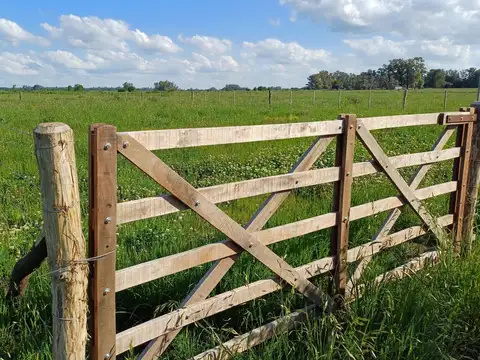 Venta Terreno / Lote Villa Espil