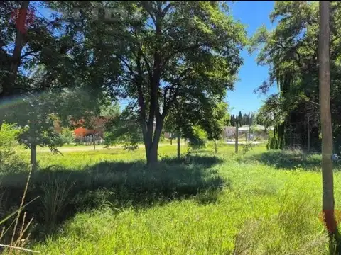 Terreno en Venta en Plottier, USD 17.500
