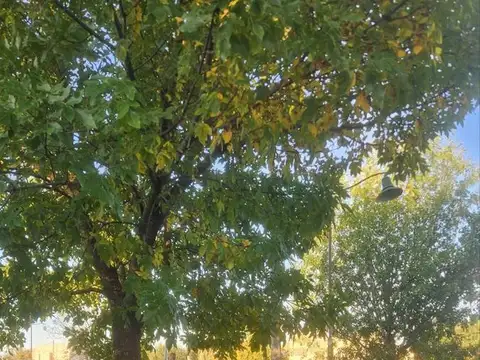 Terreno en Venta de 607,0 m2