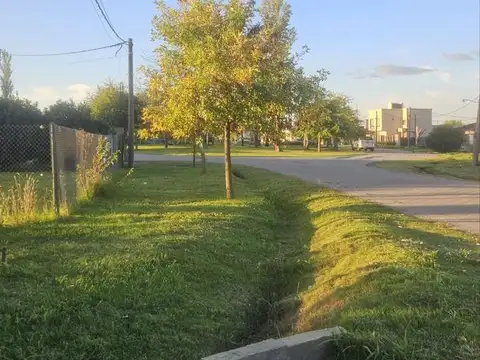 Terreno en Barrio las Tardes