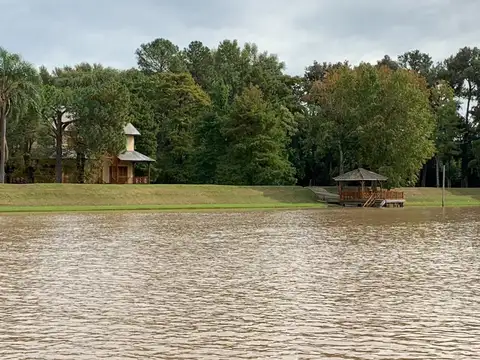 ISLAS DEL DELTA DEL PARANA LOTE 100