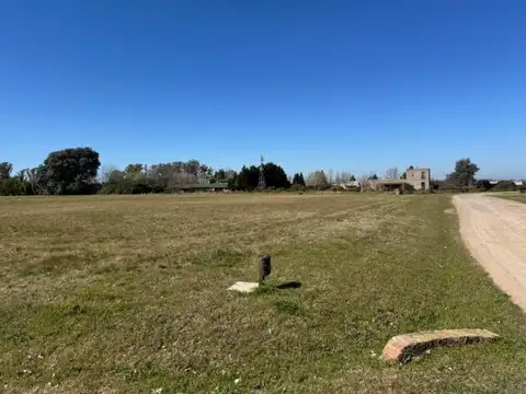 Club de Campo La Ranita