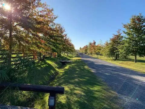 Terreno en Venta 35  mts Fondo