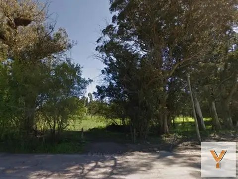Terreno en venta - 40.000Mts2 - Arturo Seguí