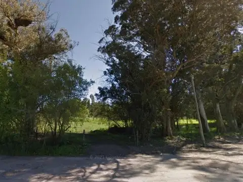 Terreno en venta - 40.000Mts2 - Arturo Seguí