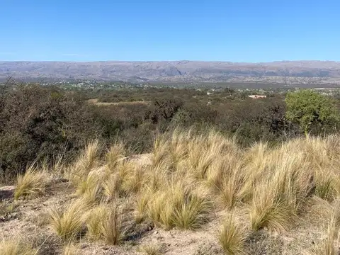 Camino "la Gloria"