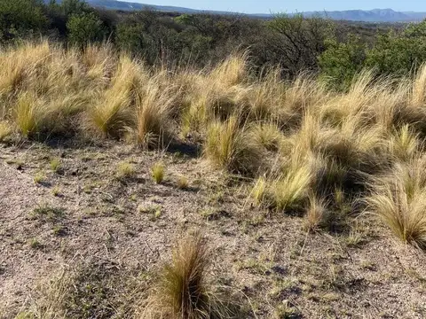 Campo en Venta de 7  ha