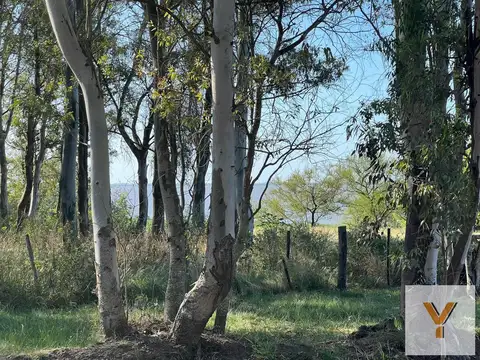 Estancia Estrella Federal