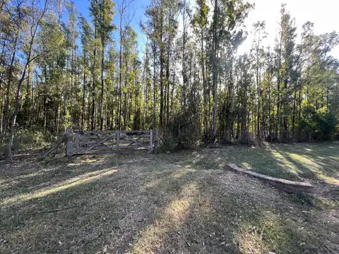 Terreno en Venta de 10000,0 m2