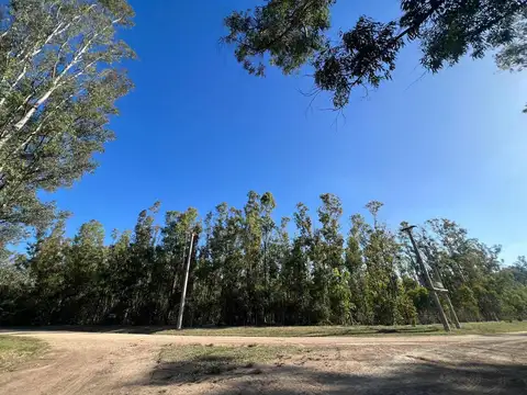 Terreno en Venta de 10000,0 m2