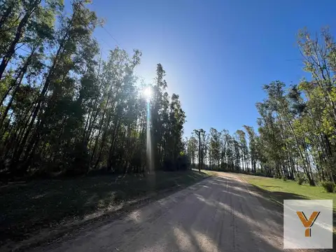 Estancia Estrella Federal