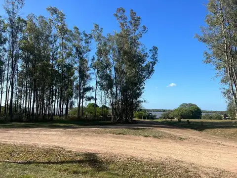 Terreno en venta - 10.000Mts2 - El Paraíso, Ramallo