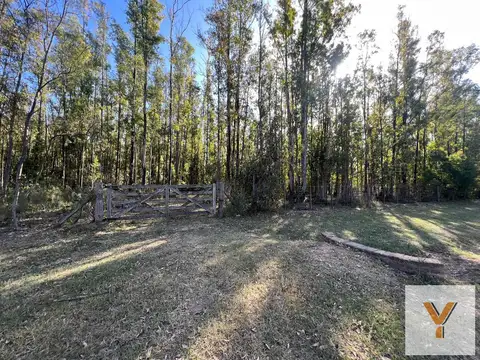 Terreno en Venta de 10000,0 m2