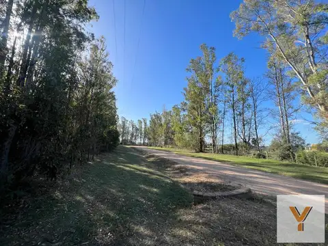 Terreno en venta - 10.000Mts2 - El Paraíso, Ramallo