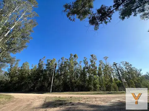 Terreno en Venta de 10000,0 m2