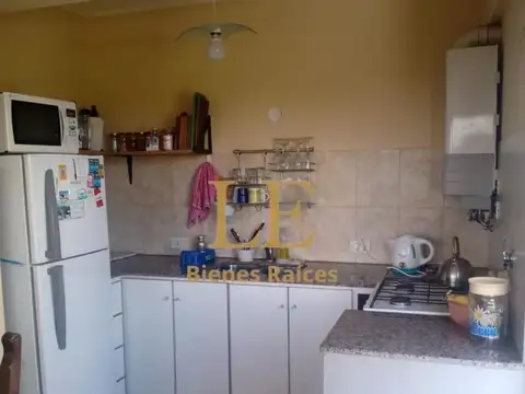 Paseo 113 100