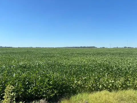 Ruta 100