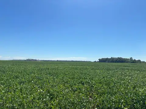 Excelente campo agrícola de 121 has 