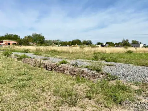 Mendoza 2400
