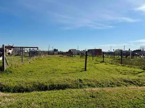 Mendoza 2400