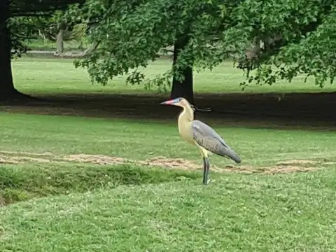 Haras del Sur I kilómetro 69 , Piso No definido