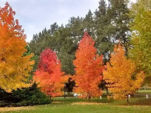 Terreno en Venta de 1333,0 m2